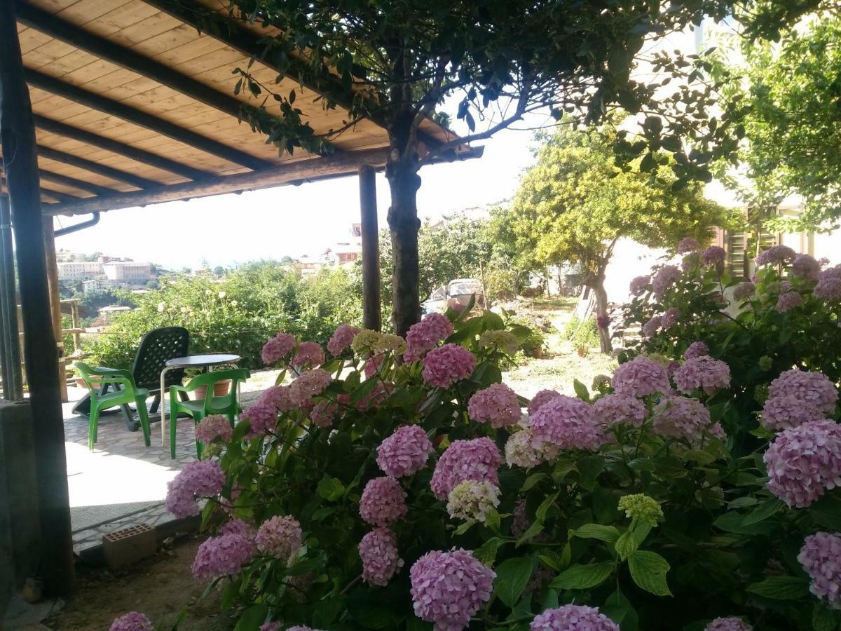 Aritzo appartamento romantico Esterno foto